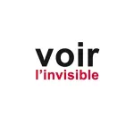 Voir l'invisible. Tome 2, Comprendre, agir vignette